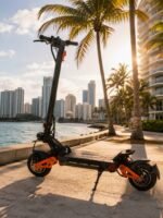 ECOMOTION PRO